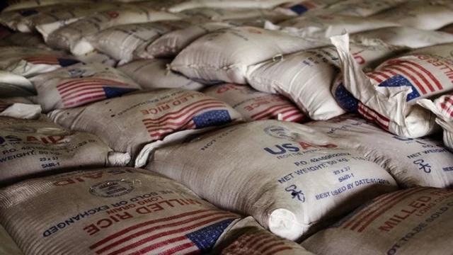 Sacs de riz importé portant le logo USAID, illustrant l’aide alimentaire et ses effets sur la production nationale en Haïti.