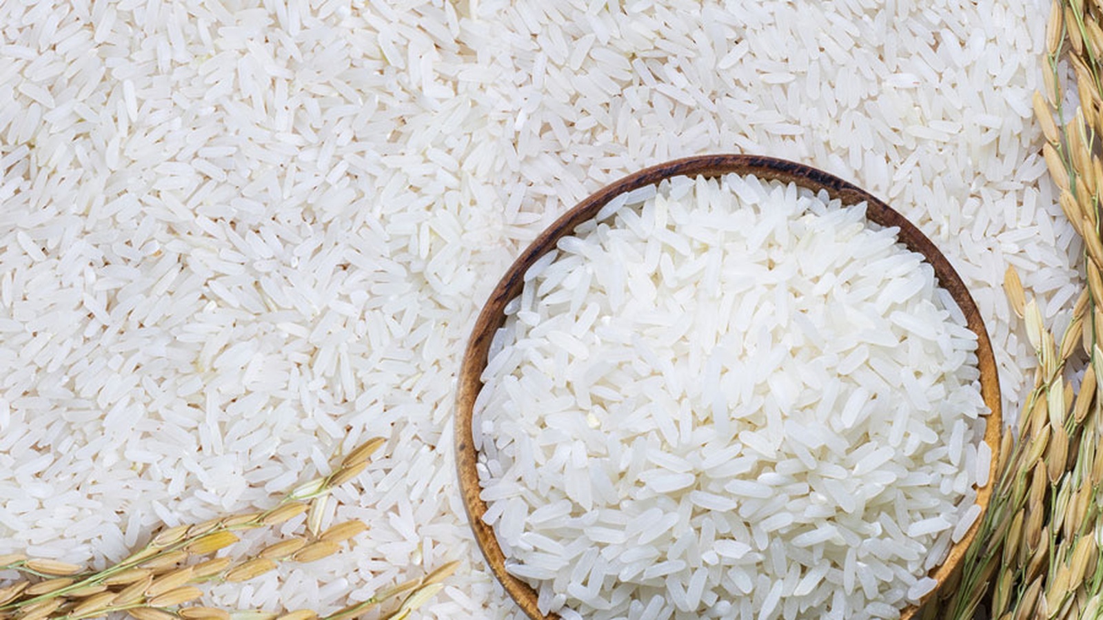 Grains de riz blanc dans un bol, illustrant la hausse des prix mondiaux du riz selon la FAO.