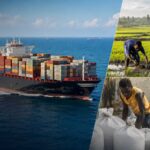 Montage montrant un porte-conteneurs en mer, un agriculteur dans une rizière et des travailleurs manipulant des sacs de riz, pour illustrer le lien entre commerce extérieur, importations et production agricole en Haïti.